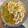 El cooksnap de poramoralhambre cuando hizo Sopa ramen con verduras.