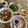 Cooksnap của Minh Hayes khi họ làm theo món Mâm Cơm Nhà Thứ Ba