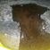 Cooksnap dari izmie aeewa untuk resep Chocolate lava cake (steam)