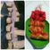 Cooksnap dari Nurul Mustika Jannah untuk resep Lumpia Wortel Ayam