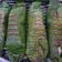 Cooksnap dari Elsa untuk resep Nasi Bakar Ayam Kemangi Devina Hermawan