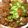 Econ Tofu 的 粉蒸排骨 電鍋版 cooksnap