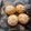 Katharina Herwig's cooksnap of when they made Semmel-Brötchen.