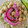 Cooksnap de Delfina Aleixo quando cozinhou Tortitas de Arroz com Tomate e Pickles de Cebola Roxa.