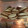 El cooksnap de Nathalie Rodríguez lopez cuando hizo Alfajores de maicena y dulce de leche.