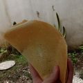 Cooksnap dari vin untuk resep Martabak Tipis Kering (TipKer) Renyah