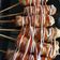 Cooksnap dari Rinadya untuk resep Corndog sosis