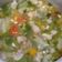 Cooksnap dari Deby Miranti untuk resep Sayur sop tetelan sapi