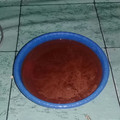 Cooksnap dari Riani Djangkaru untuk resep Silky Puding Coklat