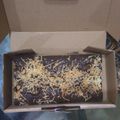 Cooksnap dari Annisa Zakaria Putri untuk resep Brownies Panggang Almond Silverqueen
