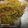 Jayshree Soni's cooksnap of when they made વેજીટેબલ ખીચડી (Vegetable Khichdi Recipe In Gujarati).