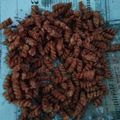 Cooksnap dari aam aminah untuk resep Keripik makaroni pedas