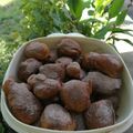 Emesee Balogh Cooksnap-ja, amikor elkészítette a(z) Pillefánk receptet.