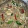 Cooksnap dari Dini Umbari untuk resep Mie Lethek #bakmi jowo mbantul