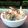 Cooksnap dari @istissusanto untuk resep Bakwan Sayur Katuk