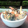 Cooksnap dari @istissusanto untuk resep Bakwan Sayur Katuk