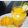 Jigna Shukla's cooksnap of when they made મેંગો મોકટેલ(Mango Mocktail Recipe in Gujarati).