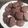 El cooksnap de Claudia Clau cuando hizo Galletitas de Chocolate.