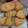 El cooksnap de M.Jose cuando hizo Galletas de mantequilla.