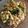 Cooksnap dari Ester Yanita untuk resep Simple Chicken salted egg (ayam saus telur asin)