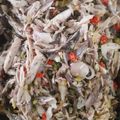 Cooksnap dari RAINBOW 🌈 untuk resep Suir Ikan Tongkol Sambel Matah