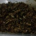 Cooksnap dari Dwi untuk resep Abon Ikan Tongkol