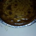 El cooksnap de Saarahi Gonzalez cuando hizo Pay de queso fresco.