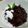 Cooksnap dari Esti Sukma untuk resep Bubur ketan hitam (metode 5-30-7)