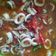 Cooksnap dari Iin Fitria Anggela untuk resep Cumi Basah Saus Tiram Extra Pedas (cabe gendot)
