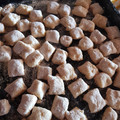 El cooksnap de Angela Villarreal cuando hizo Ñoquis de papa con salsa boloñesa.