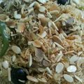 صورة من براءة هلال ، شاركها بعد تجربة وصفة كبسة سريعة وسهلة جدا