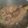 El cooksnap de mimail-princesa cuando hizo Tuco económico con carne para fideos (o cualquier pasta).