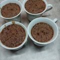 El cooksnap de Gabriela G cuando hizo Brownie individual en microondas.