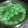 Cooksnap Fauziah Fazzeah semasa beliau membuat Onde-onde.