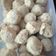 Cooksnap dari Feronika Tandungan untuk resep Baso ala DEBM