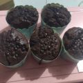 Cooksnap dari Yarie Eka Saptariani untuk resep Muffin ala Breadtalk