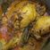 Cooksnap dari emi3rach untuk resep Ayam Betutu Nayamul