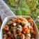 Cooksnap dari Koki Bayi 🍭 untuk resep Tumis wortel buncis daging sapi