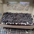 Cooksnap dari indahumam untuk resep Brownies Kukus Ny.Liem With Choco Glazing