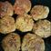 Abhilasha Singh का कुकस्नैप जब उन्होंने दलिया कबाब (daliya kabab recipe in Hindi) बनाया था।