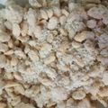 El cooksnap de Agustina Cocina 👩‍🍳 cuando hizo Garrapiñadas caseras.