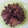 Cooksnap dari Christina Teti untuk resep Empal gepuk daging sapi sederhana