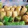 Cooksnap dari irdafeerda untuk resep Pukis Labu Kuning