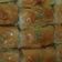 صورة من مرح، شاركها بعد تجربة وصفة اقراص العيد الحموية طعم وشكل رووعة 😋