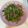 Fionn Lin 的 沙茶牛肉炒空心菜 cooksnap