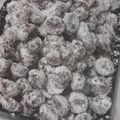 Cooksnap dari fitri daulay untuk resep Black Snow White Cookies / Putri Salju Oreo
