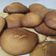 El cooksnap de Pilar.fdez.soria@gmail.com cuando hizo Tortas de naranja murcianas.