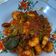 Cooksnap dari Fidia Syofyan untuk resep Sambal Goreng Udang Pete