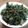 ReaxBugs's cooksnap of when they made Kale Chips.