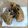 El cooksnap de Devin cuando hizo Crumble cookies.